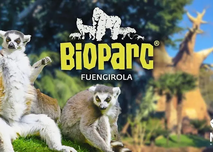 Marina 2 - דירה *